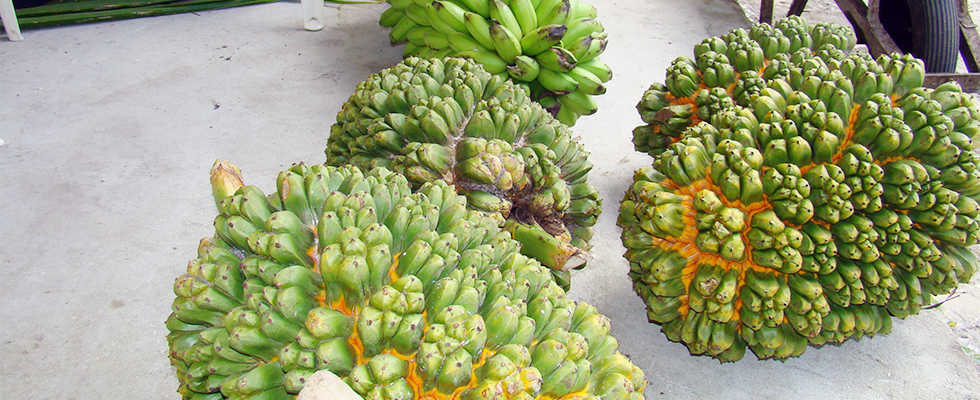 Marshall Islands scenery